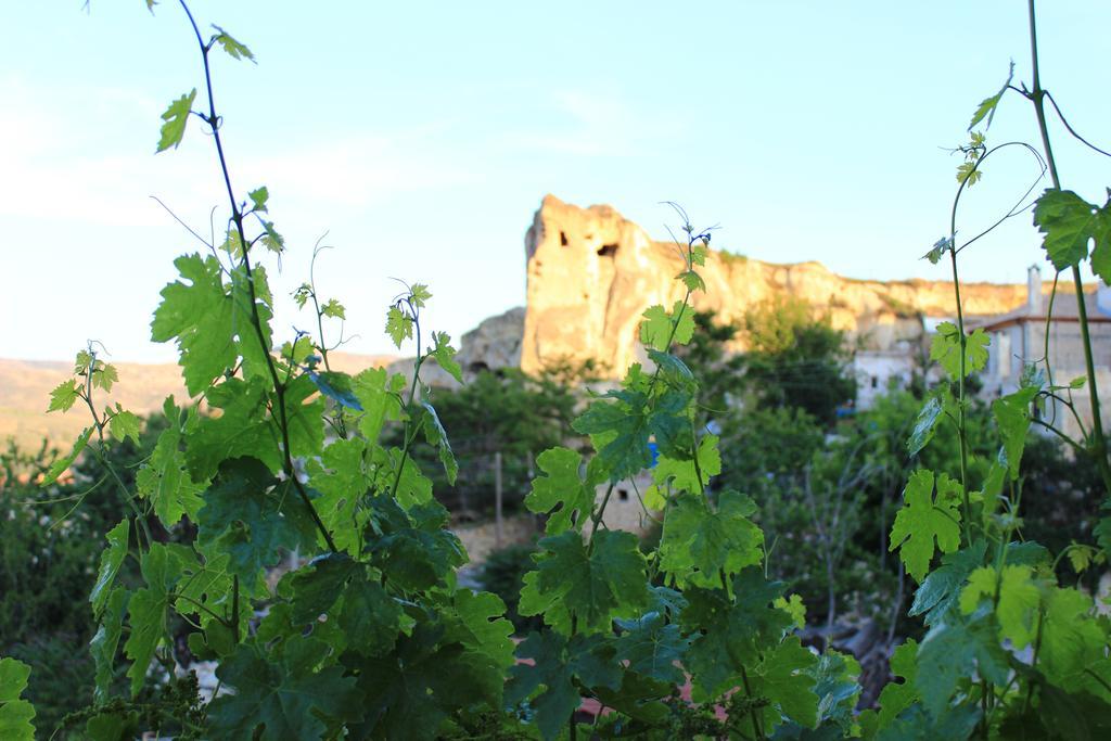 Elif Stone House Hotel Ürgüp Kültér fotó